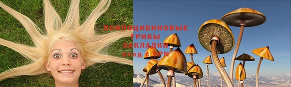 МДПВ Семикаракорск